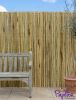 Paravento in Canne spesse di Bamboo Bianco - Rotolo 1.9m x 1.8m