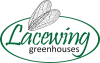 Serre Lacewing