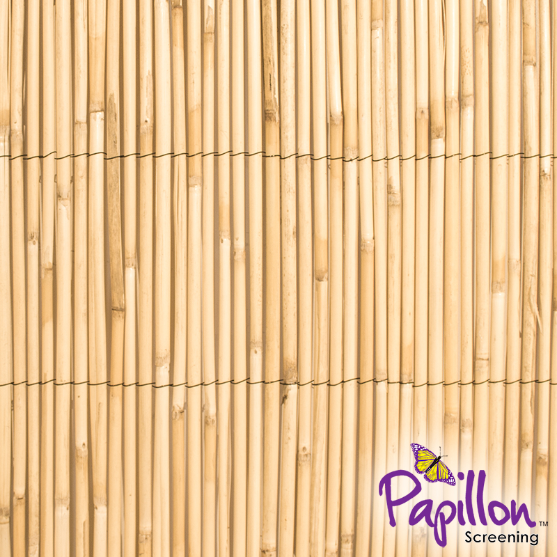 Pannello di recinzione in canne spesse di bambù naturale 3m x 1,2m - della  Papillon™ 22,99 €