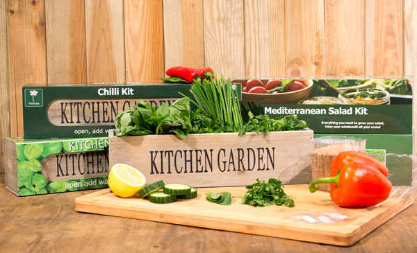 Crea il tuo giardino cucina - 3 davanzale Fioriere con i semi e compost