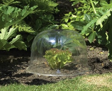 Campana da Giardino Trasparente - Confezione da 3 - Medie Dimensioni (38 cm)