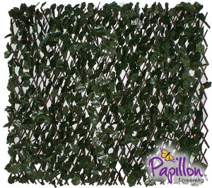 Siepe Artificiale con Edera Inglese e traliccio di salice estensibile 1 x 2m - della Papillon