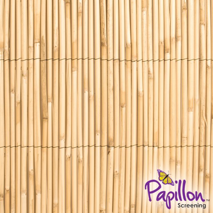 Pannello di recinzione in canne spesse di bambù naturale 3m x 1,2m