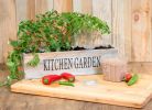 Crea il tuo Chilli Garden - Semi cucina davanzale Impianti e con Compost