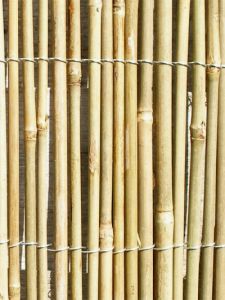 Cannicci Paravento Bamboo