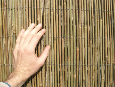 Cannicci Paravento Bamboo