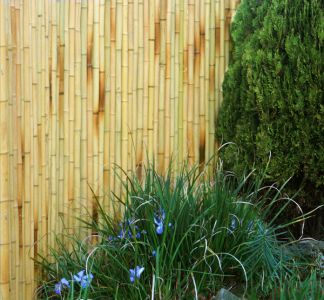Cannicci Paravento Bamboo spessi