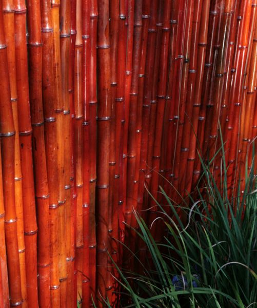 Paravento in Canne spesse di Bamboo Rosso -Rotolo 1.9m x 1.8m